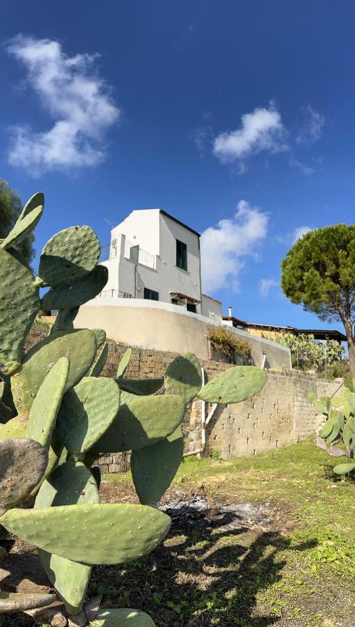 Belvedere Santa Margherita di Belice Luaran gambar