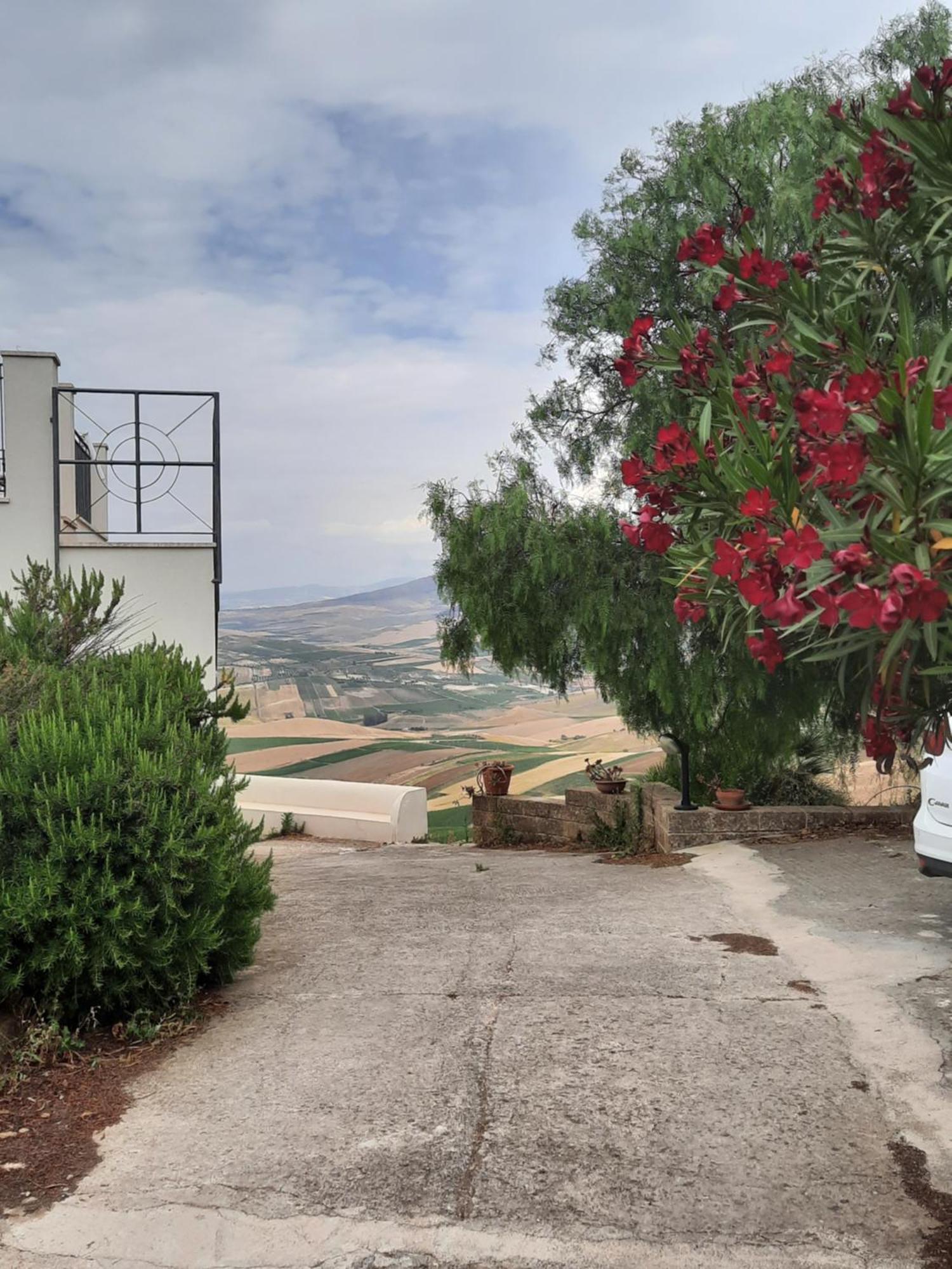Belvedere Santa Margherita di Belice Luaran gambar
